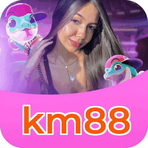 FAQ km88 Brasil